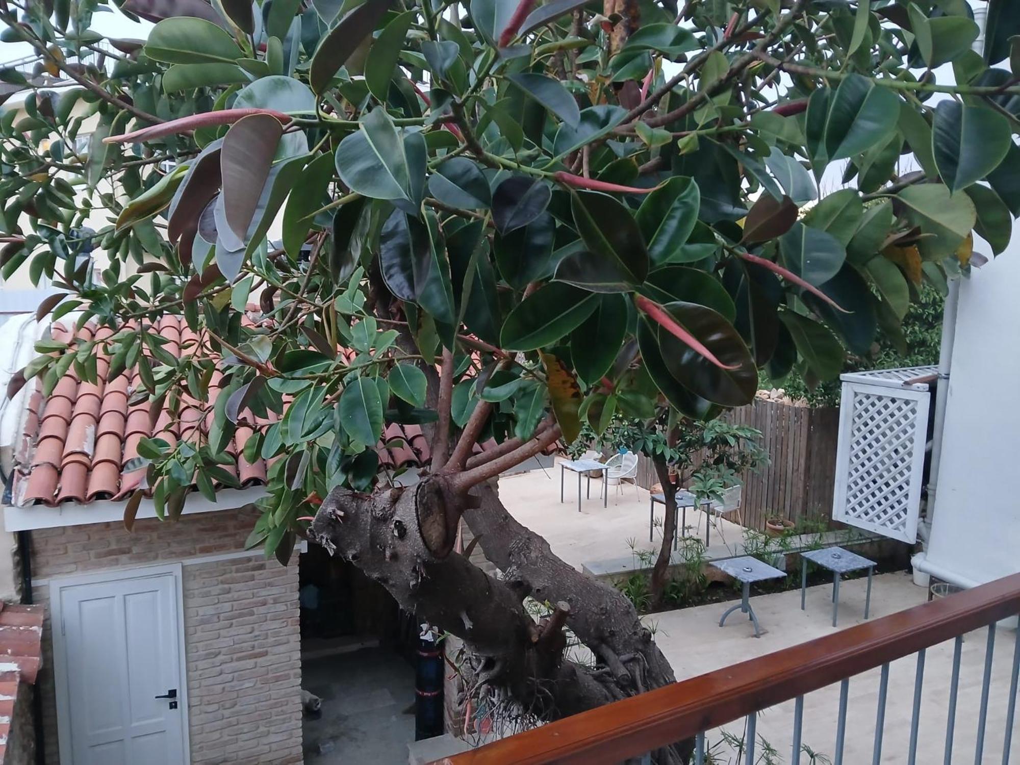 House Of Good Things Hotel อันตัลยา ภายนอก รูปภาพ